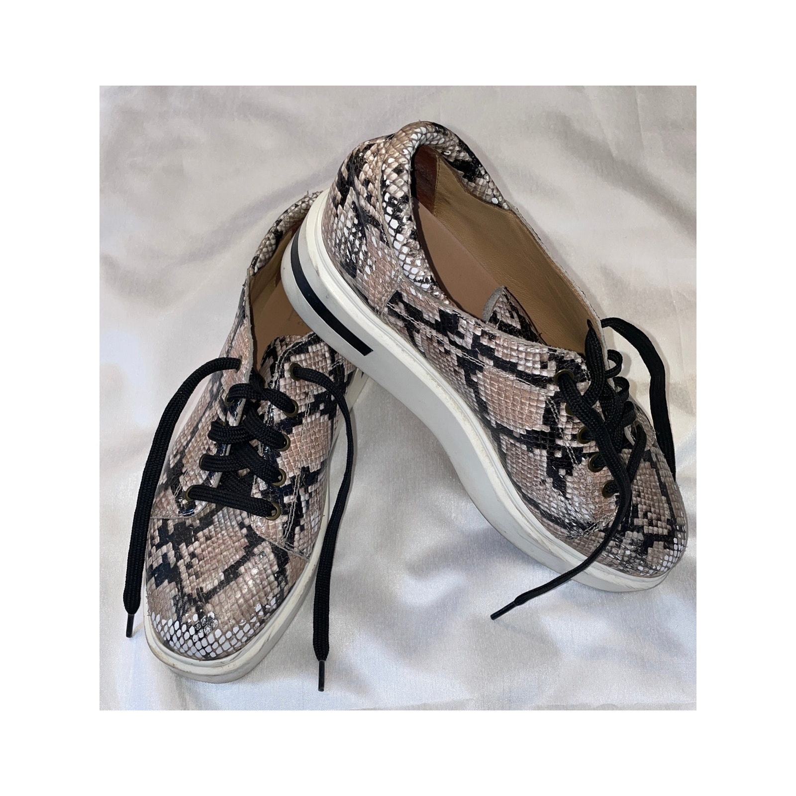 Linea Paolo Snake Print Platform Sneaker - Size 8 1/2 M - Cute!